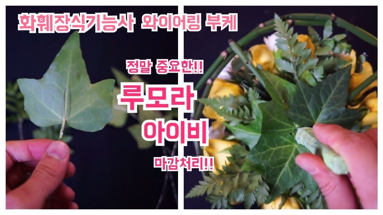 신부부케 루모라, 아이비 올바른 사용법!!