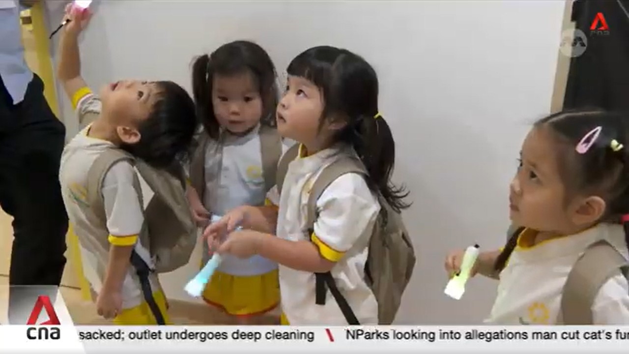 Total Defence: Preschoolers learn to prep emergency kits in pilot to build psychological resilience