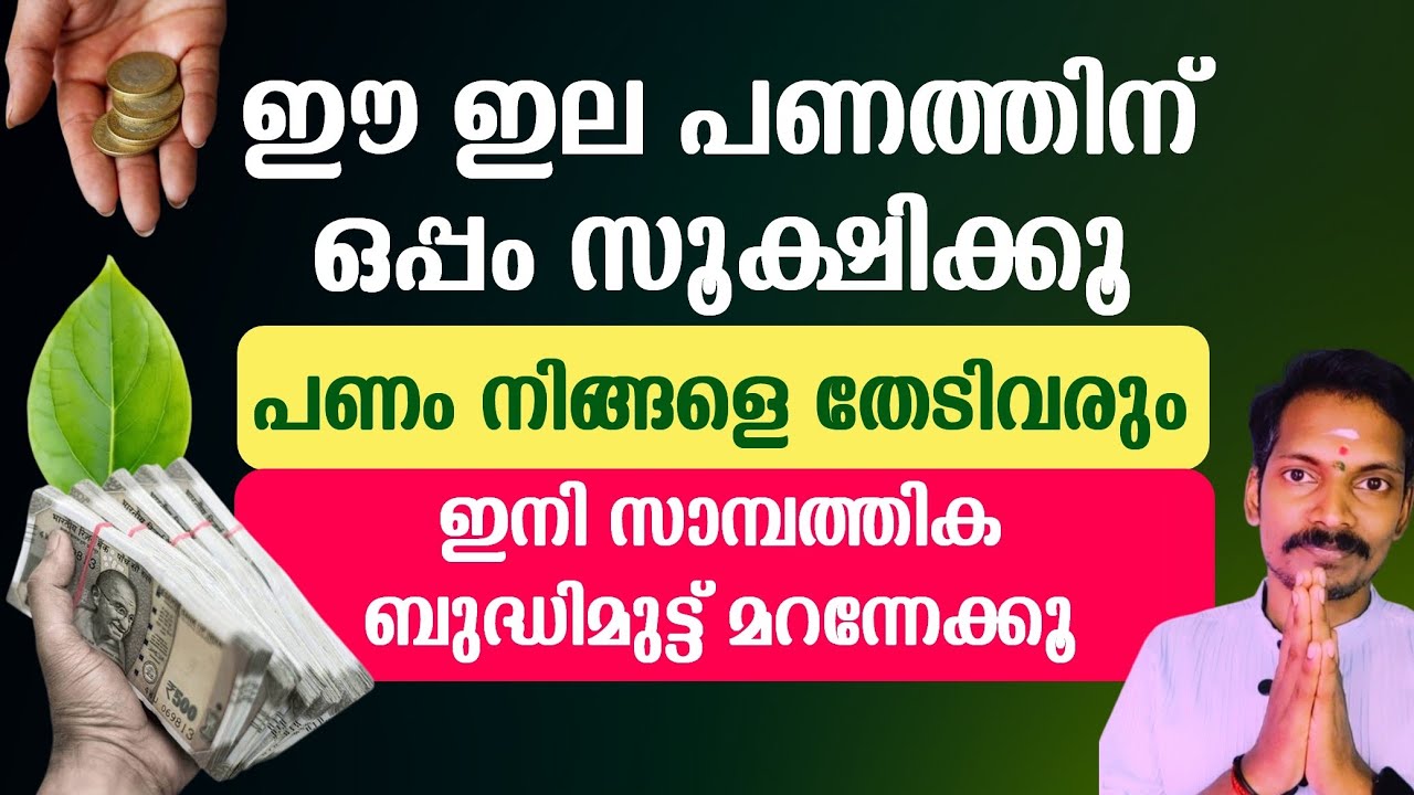 ഈ ഇല പണത്തോടൊപ്പം സൂക്ഷിക്കൂ. പണം നിങ്ങളിൽ നിറയാൻ തുടങ്ങും. ഇനി സമ്പത്തിൽ ആറാടാം.