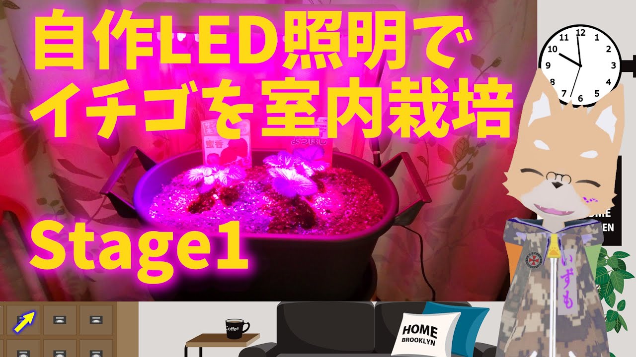 自作LED照明でイチゴの室内栽培 #電子工作  #園芸