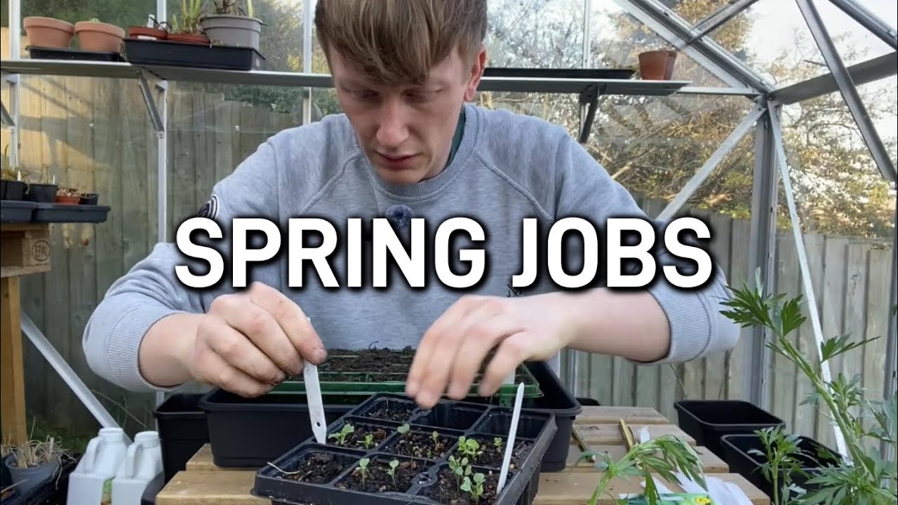 Getting SPRING jobs done! | Home allotment garden