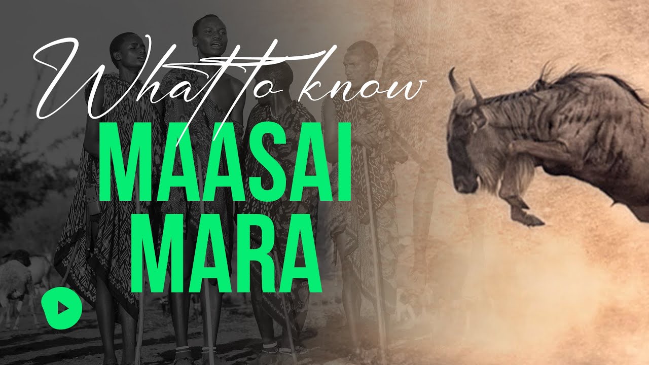 Insider's Guide: Everything You Need to Know About Maasai Mara. 