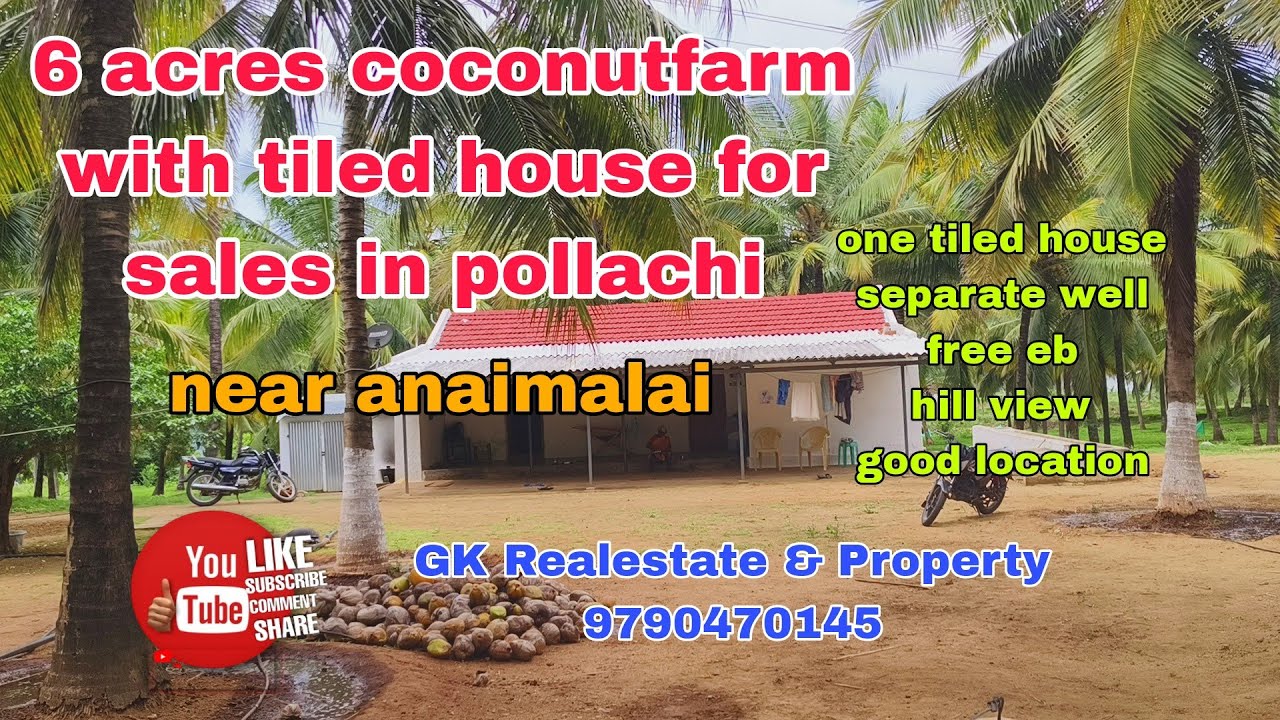 6 acres coconutfarm with tiled house for sales in pollachi near anaimalai