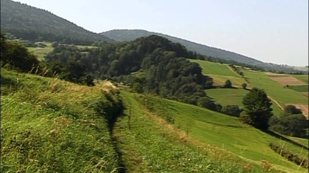 stara wies