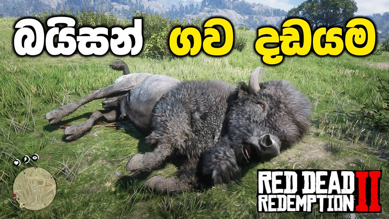 බයිසන් ගවයෝ දඩයම් කරන්න යමුද | Red Dead Redemption 2 Sinhala Gameplay
