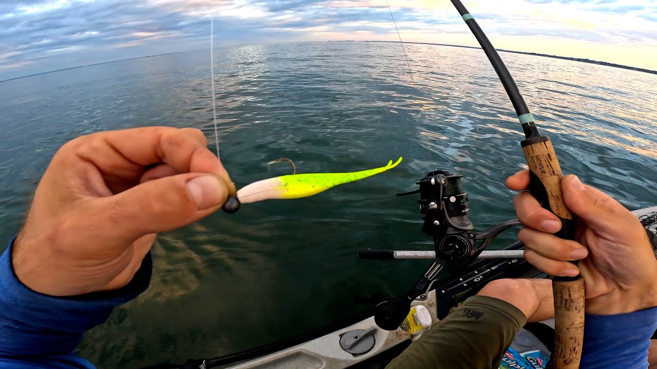 The Jerk Shad. Best Summer Fishing Lure