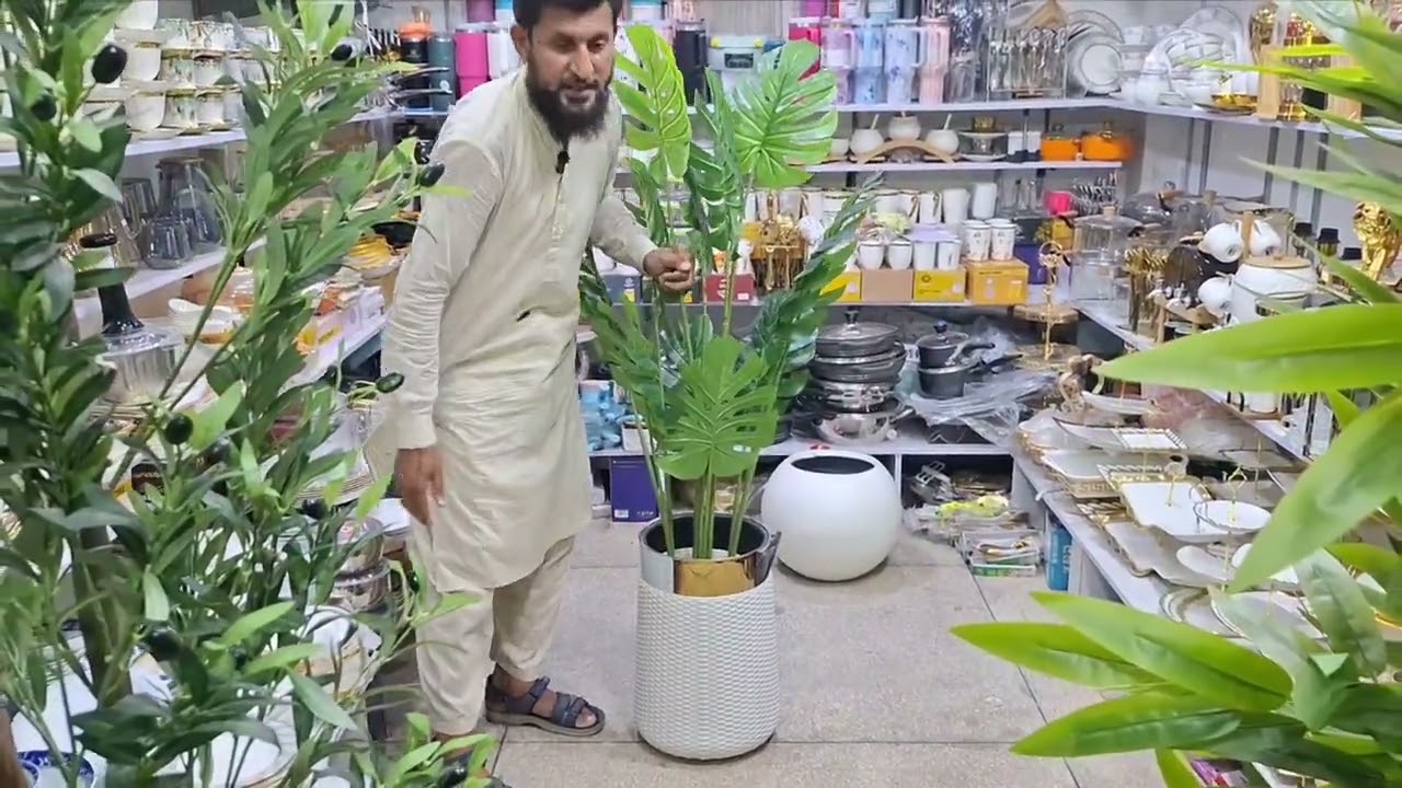 Beautiful Plants & Planters | Home Decor 2025
