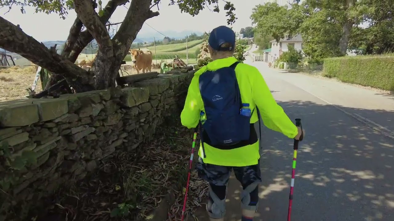 Primitivo 3:  Tineo to Albergue Los Hospitales