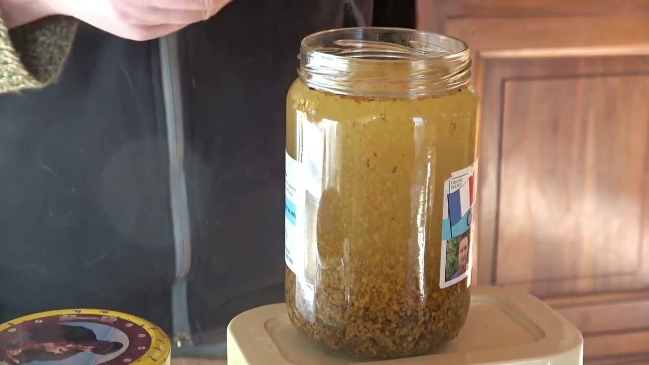 Réussir la teinture mère de propolis (Successful propolis mother tincture)