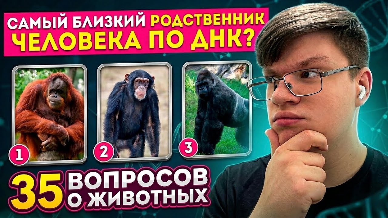 ВИПАР СМОТРИТ: Тест в мире животных / 35 вопросов о животных / EMOJI COOL😎