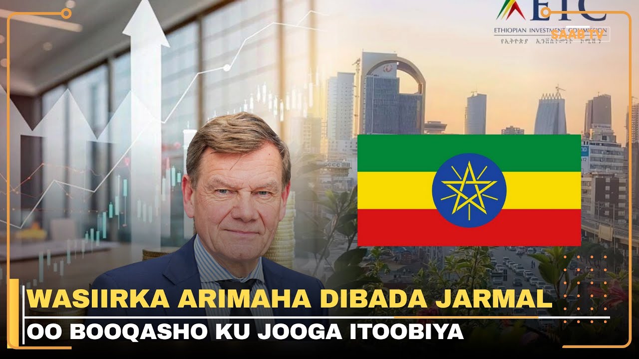 Dawladda Jarmalka iyo Itoobiya ayaa ka wada hadlay xaallada gobolka geeska Afrika