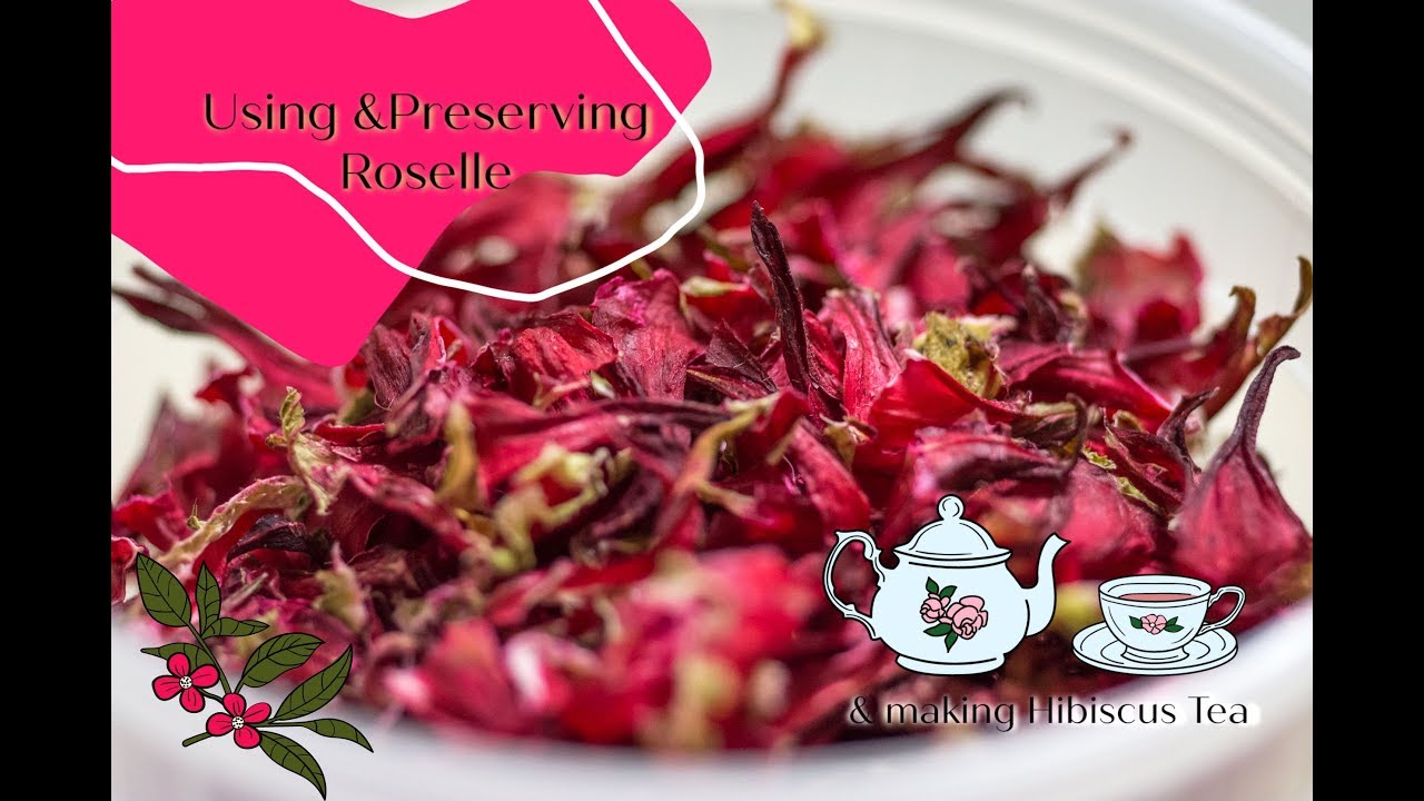 How to use and preserve Red Roselle - Part 1