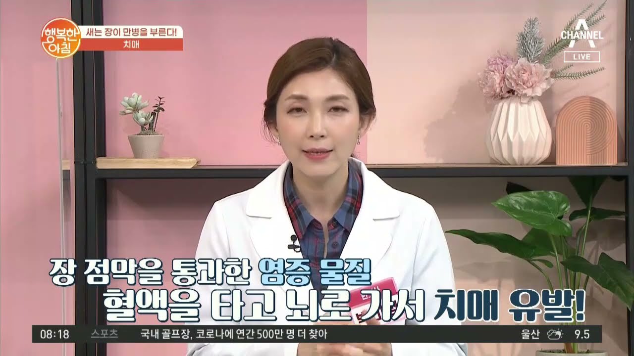 장이 안 좋으면 '치매' 걸린다?! 장은 제2의 뇌  | 행복한 아침 570 회