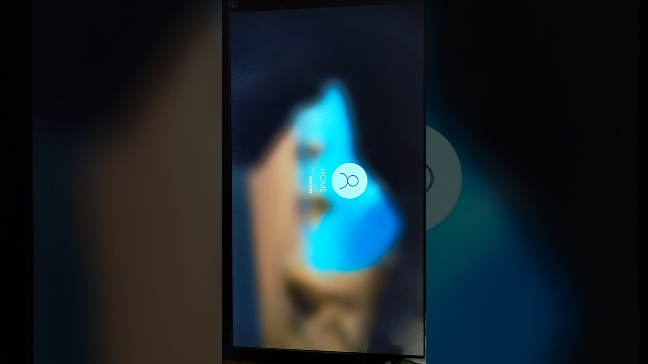 Sega Channel Revival - Windows Launcher