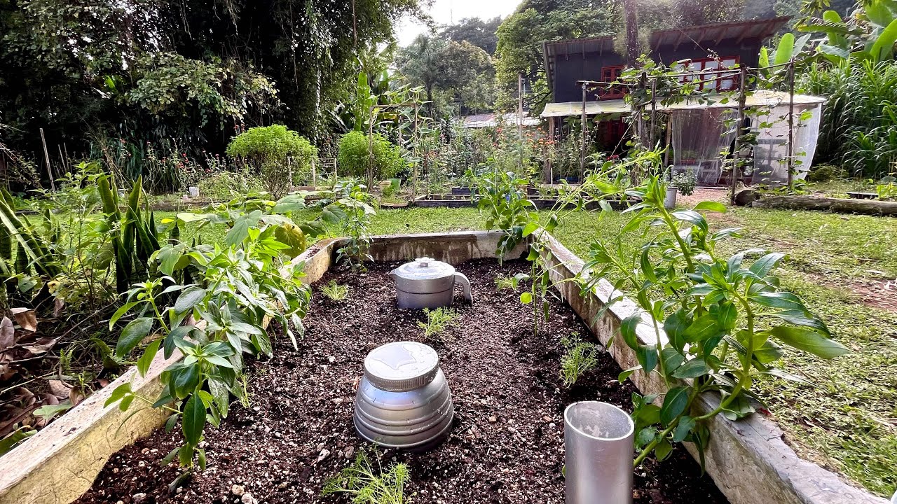 Transformé una pileta vieja en una CAMA de CULTIVO AUTORRIEGO  ¡Mira el resultado! 💧🌿