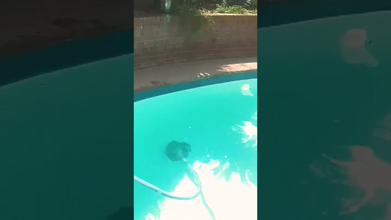 sparkling pool with a natural fountain