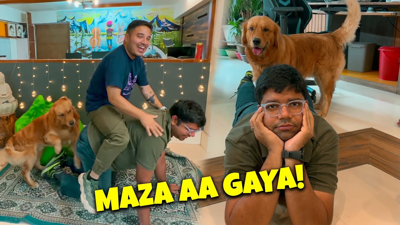 Hamare office mei aaya NEW Jaanwar 🐘 | Crazy FUN 🤪@THEHIMALAYANHUSKY