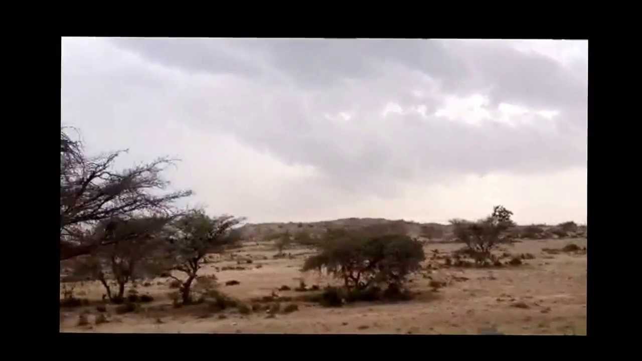 صيف شعف لجوان وجارمة ♡ (العبيلة) بتقنية HD