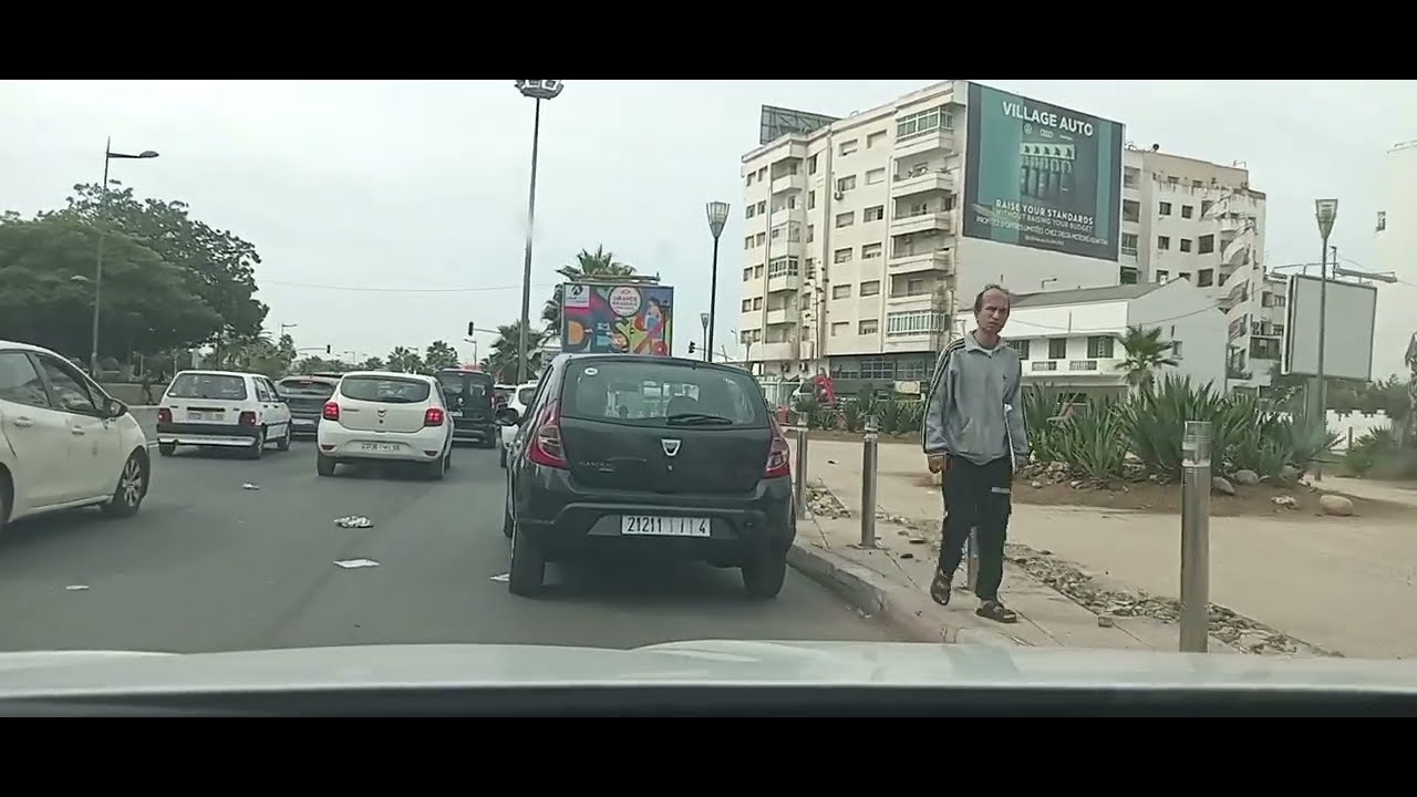 يتواج طائرله منقار طويل بكثرة