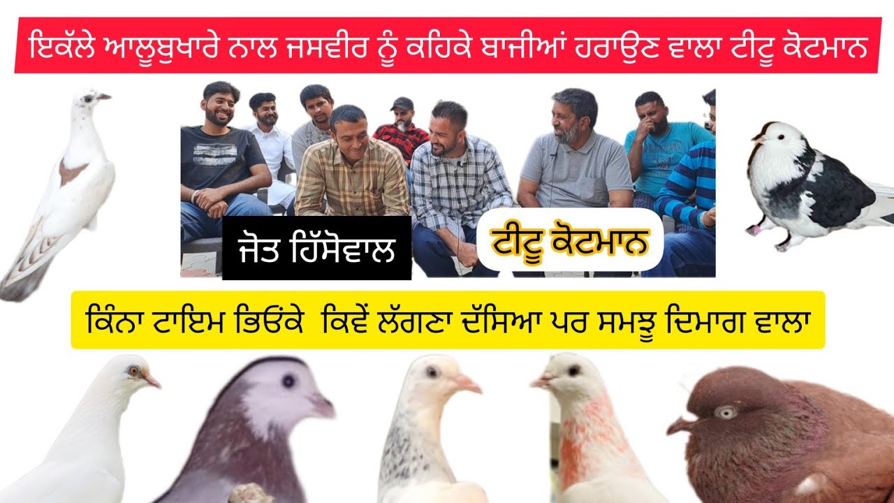 ik Shonk Kabootarbaazi Da Interview part 1 Tittu Kotman #jagraon #ludhiana #intro