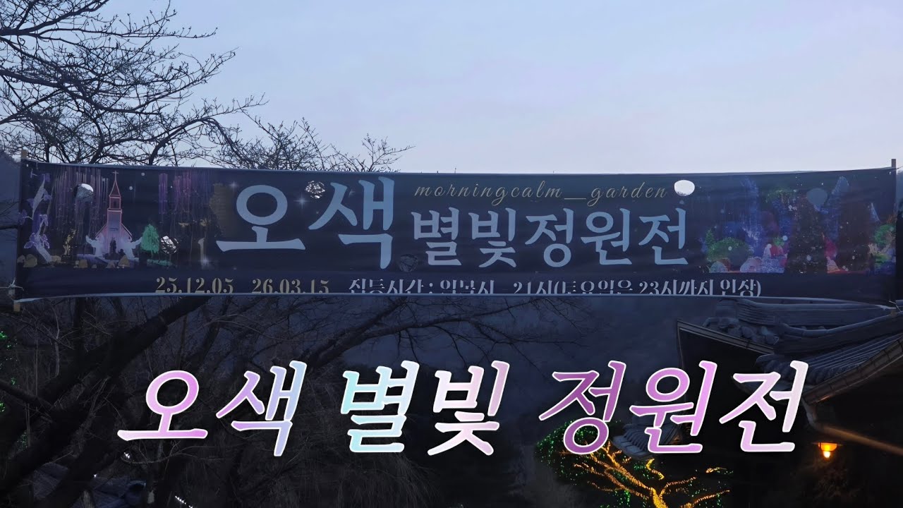 겨울에는 별빛축제!!아침 고요수목원~오색 별빛 정원전!#일상기록#아침고요수목원#별빛축제#일상브이로그#힐링#여행일상 
