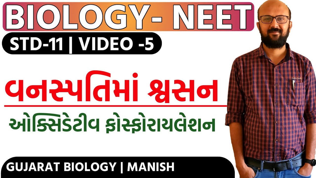 ઓક્સિડેટીવ ફોસ્ફોરાયલેશન