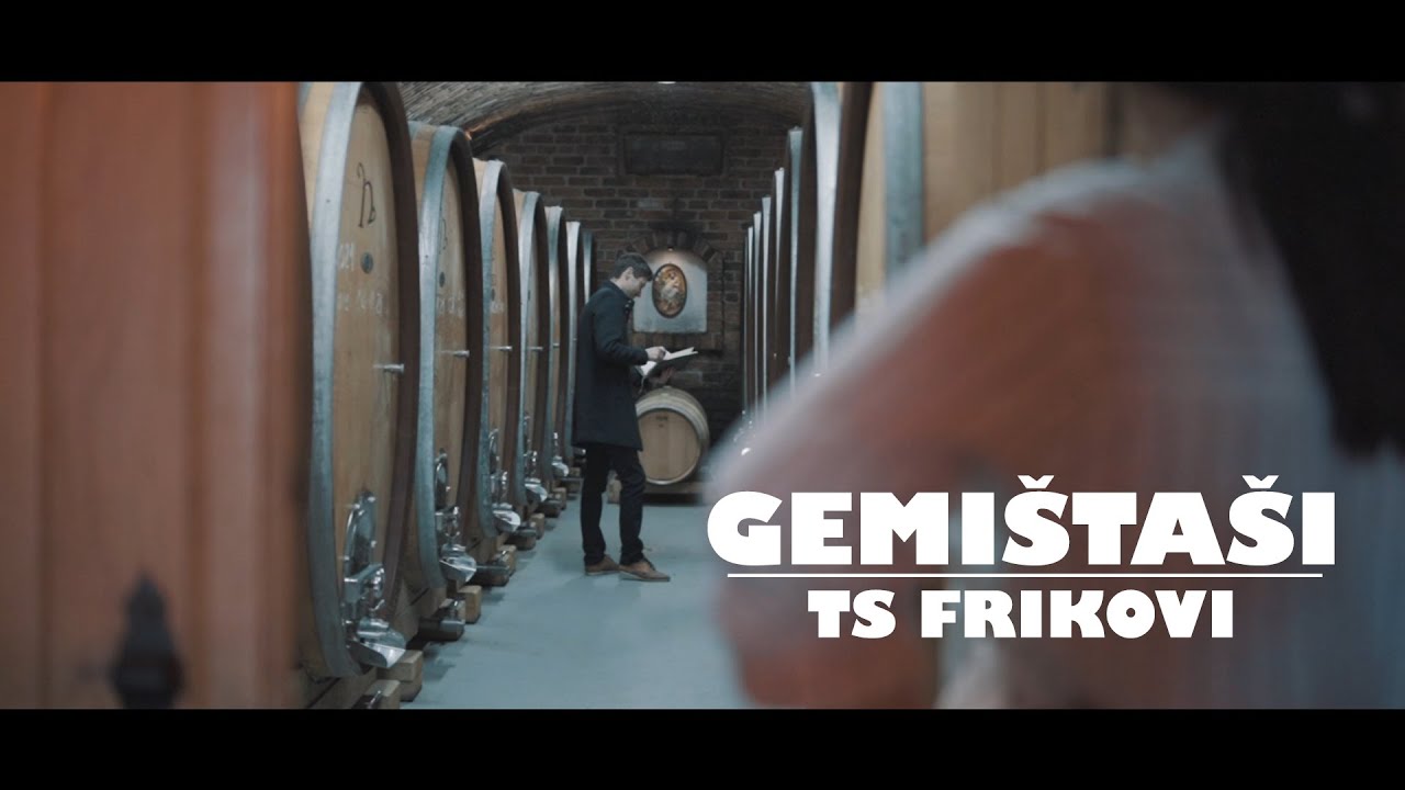 TS Frikovi -  GEMIŠTAŠI (Official video)