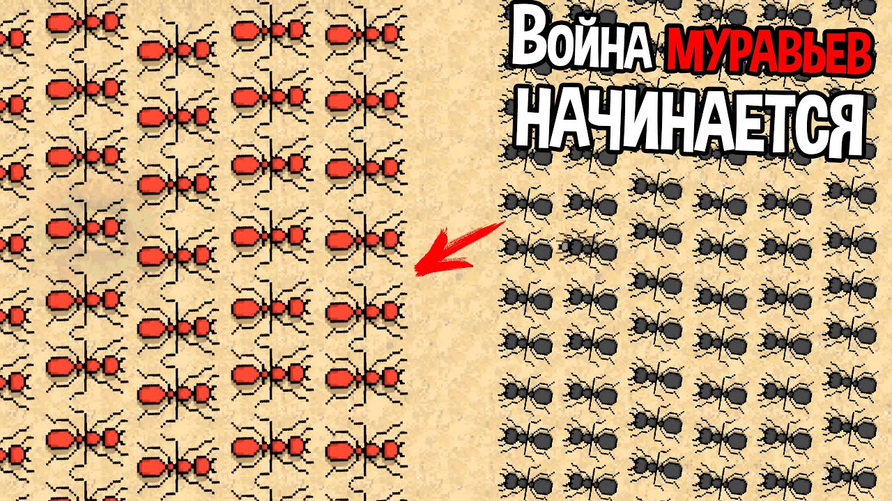 АРМИИ МУРАВЬЕВ ПОШЛИ В АТАКУ ( Pocket Ants )