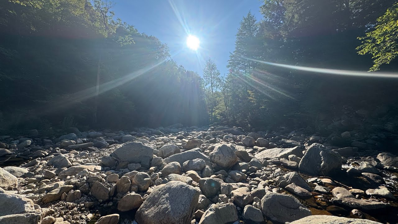 Swimming in Big Branch River 2025 (Mt Tabor, VT)  AMSR