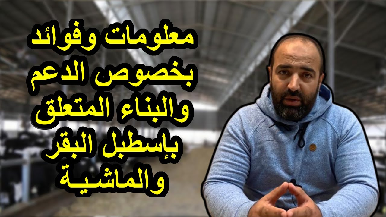 معلومات شاملة عن الدعم والبناء بخصوص إسطبل البقر والماشية