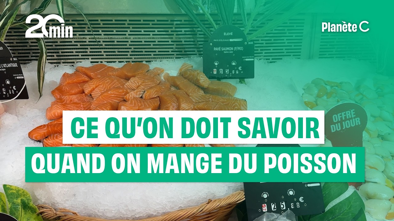 Poisson : ce qui se cache dans les barquettes vendues en supermarchés