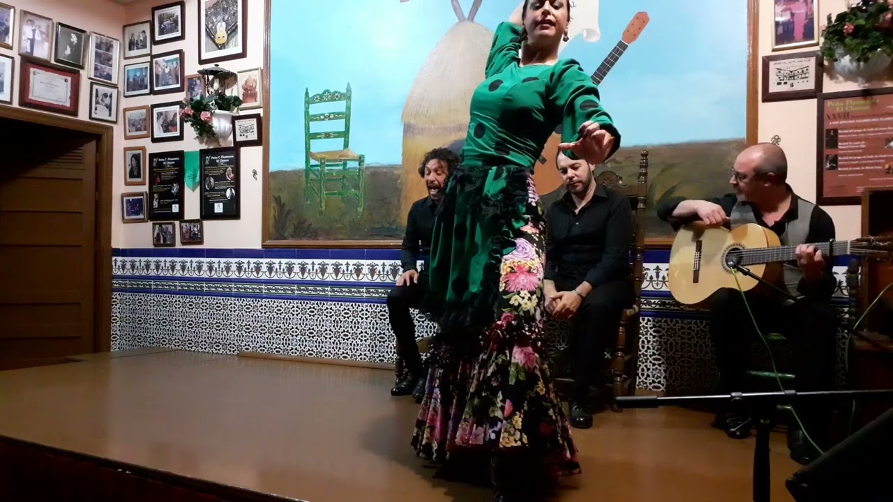 XXIX semana cultural flamenca grupo de baile de Rocío Reyes  baile  Tarantas