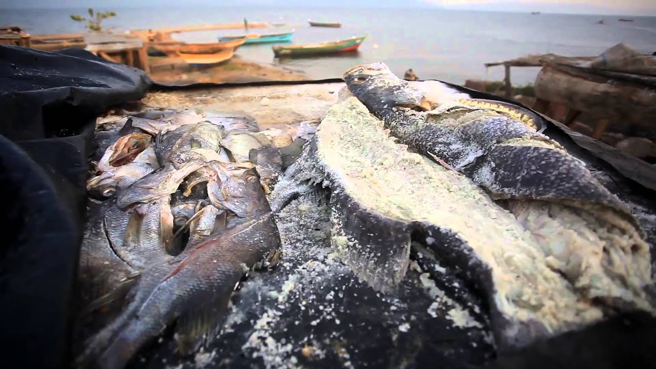 Striving for a better Lake Victoria