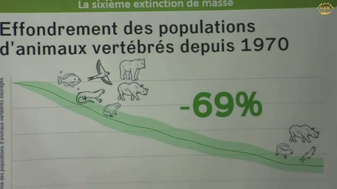 La sixième extinction en mass  MELIANI Aziz