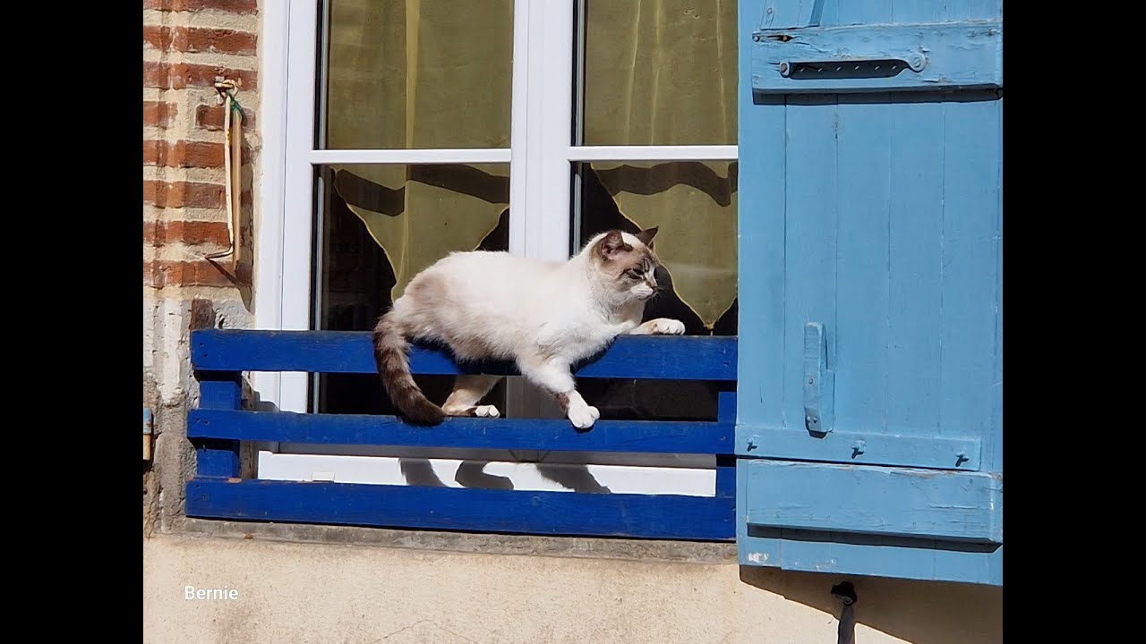 2025 02 26 ESPALAIS (82-Tarn et Gne) DREB BOUDOU