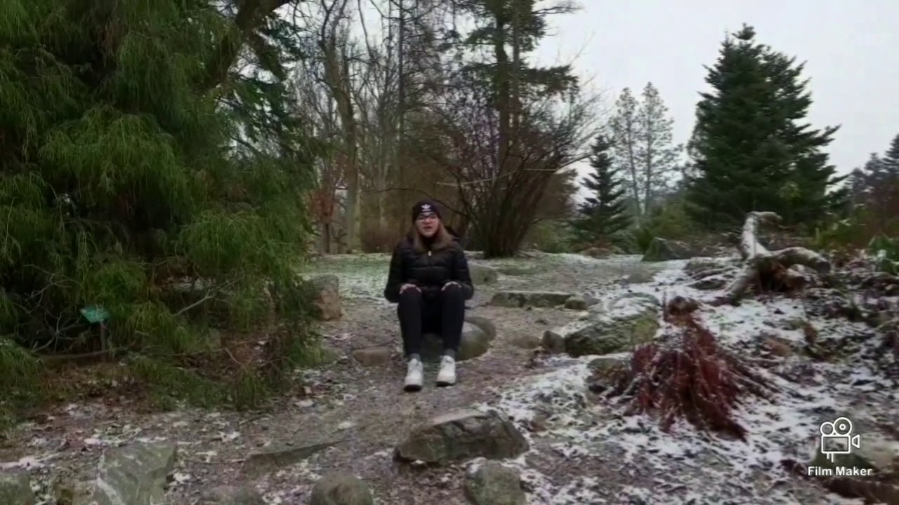 Natural treasures of Kociewie - Arboretum Wirty