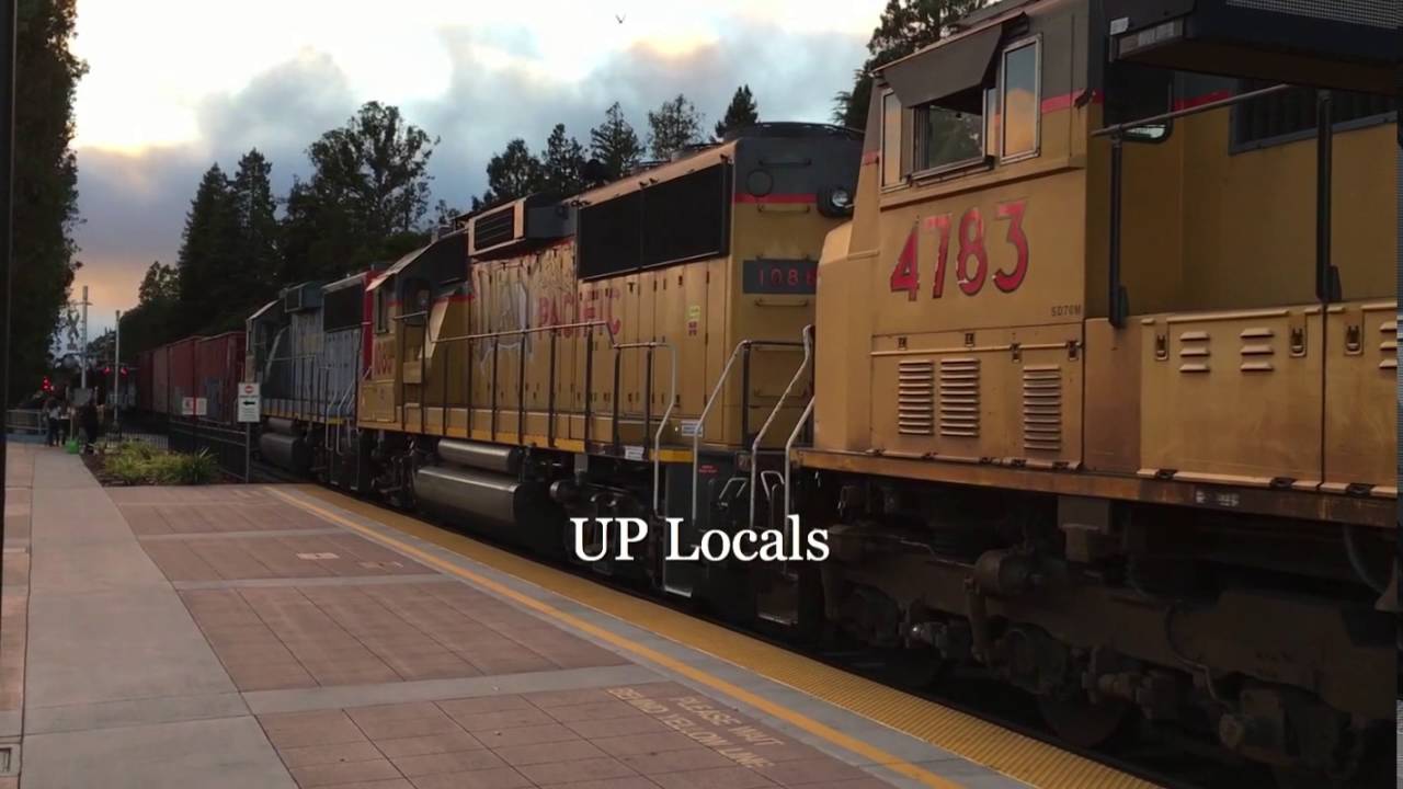 TrainSF Fall Trailer (Remake)!!!!!!