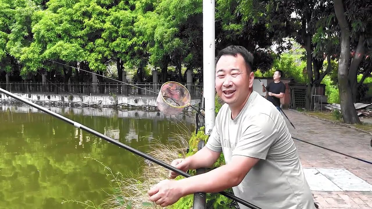 朋友们你们钓鱼都是用什么饵料呢？今天玉平带你们用芒果钓鱼！ #休闲农业 #三农 #芒果鱼