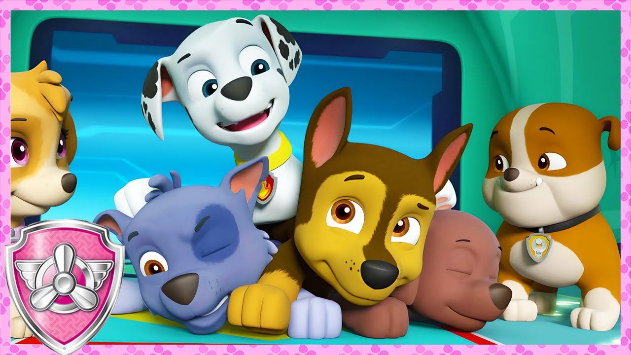 Funny Paw Patrol Moments! (Compilation) | Skye - Paw Patrol & Friends | Cartoons For Kids