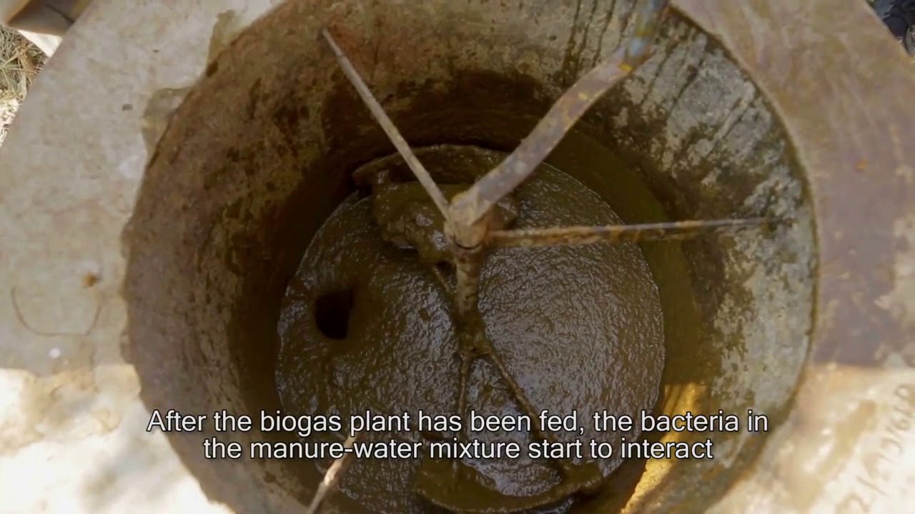 Biogas Technology in Nepal (Short Version)