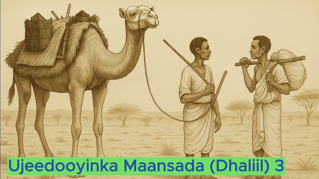 ujeedooyinka maansada (Dhaliil) 3
