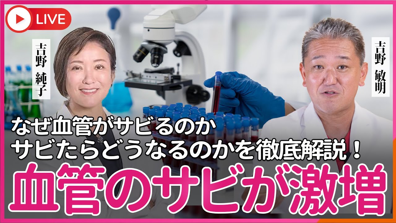 血管のサビが日本人に激増している  なぜ血管がサビるのか、サビたらどうなるのかを徹底解説！　血管のサビ・脂質代謝異常・食政策・医療構造の総合的理解