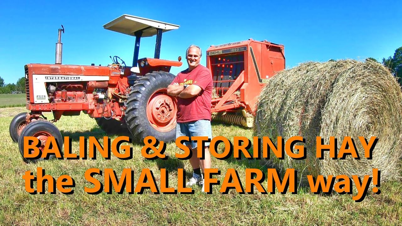 the basics of baling and storing hay