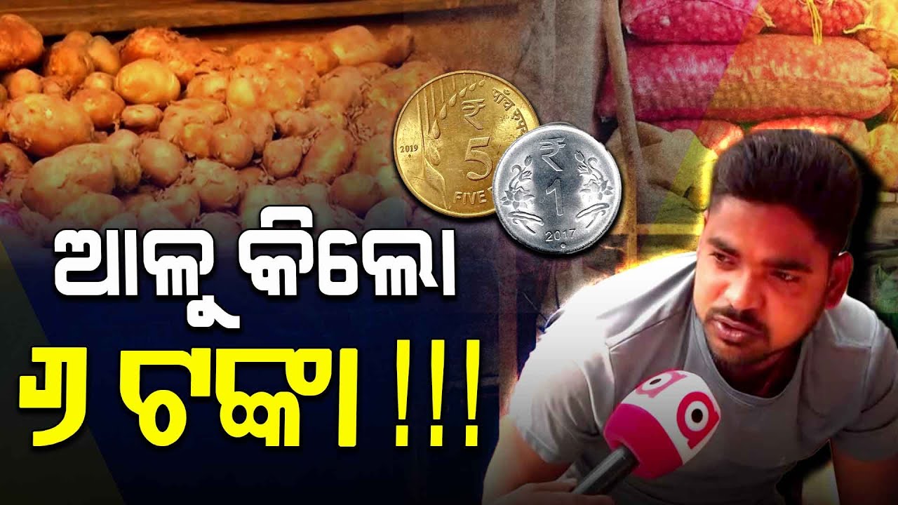 ଆଳୁ କିଲୋ ୬ଟଙ୍କା !!! | Potatoes | Balasore | Odisha News | Argus Digital