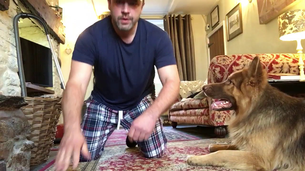 How do you teach a dog to stop attacking the vacuum cleaner!?