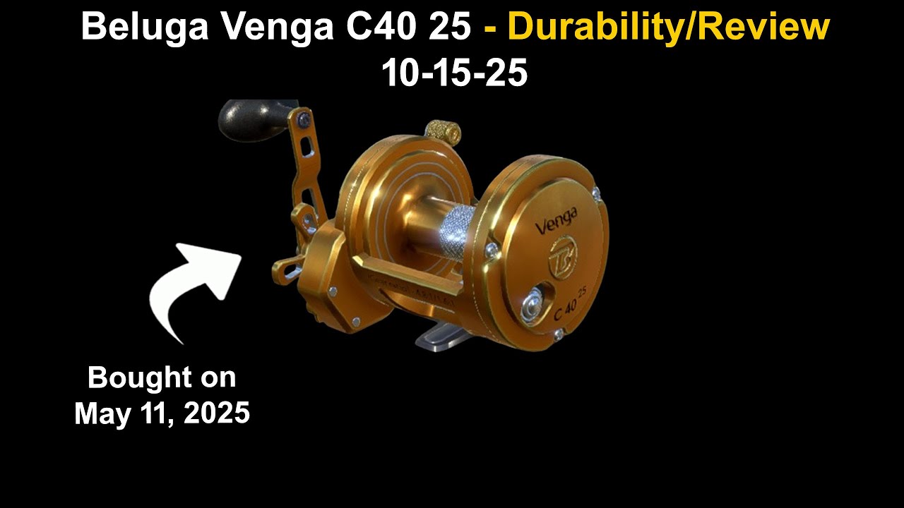 Russian Fishing 4, Beluga Venga C40 25 — Прочность/Обзор 15.10.25