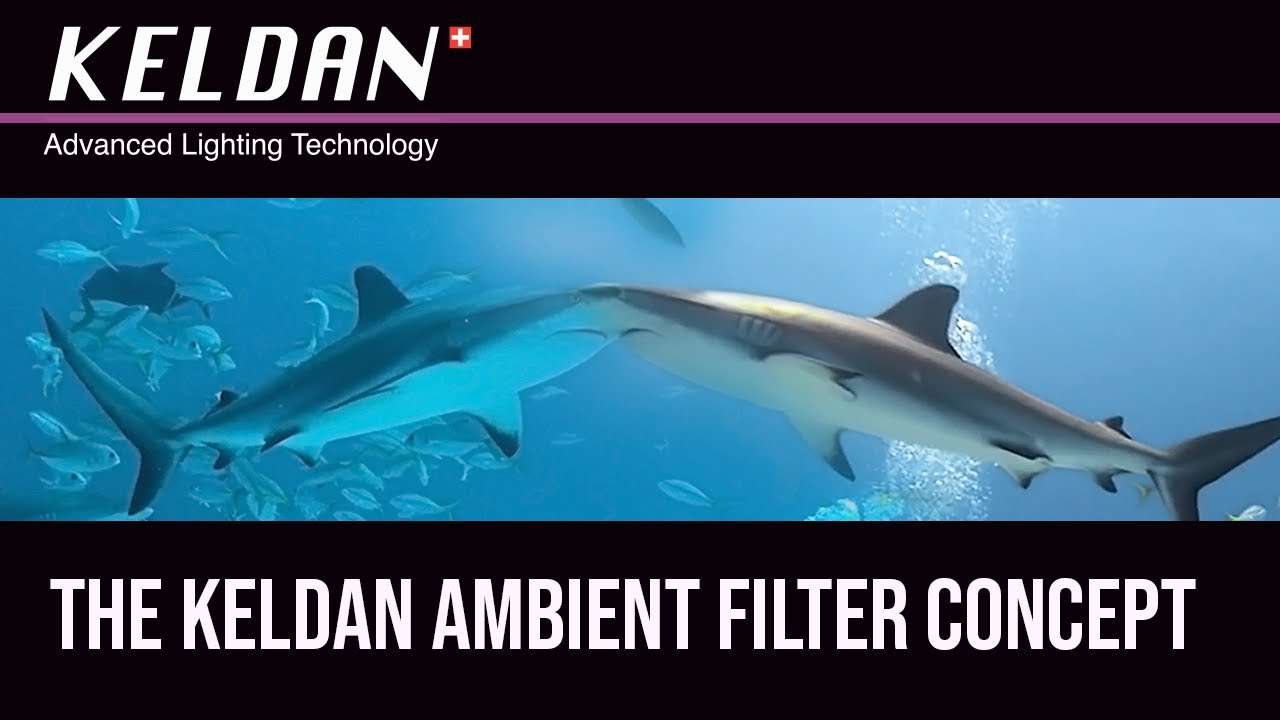 Light & Color - Testing the Keldan Ambient Filter Concept HD