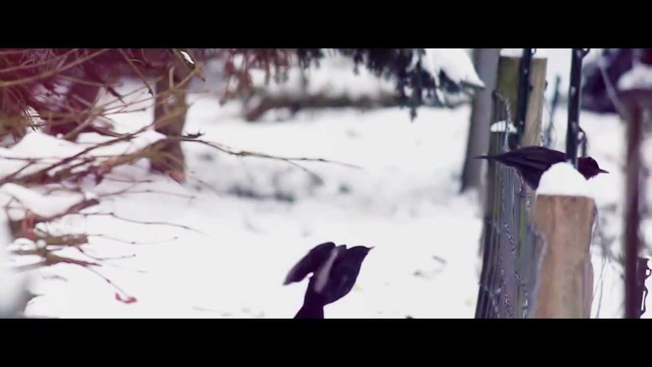 Teylan - Weit Weg (Offizielles Musik Video) 2013