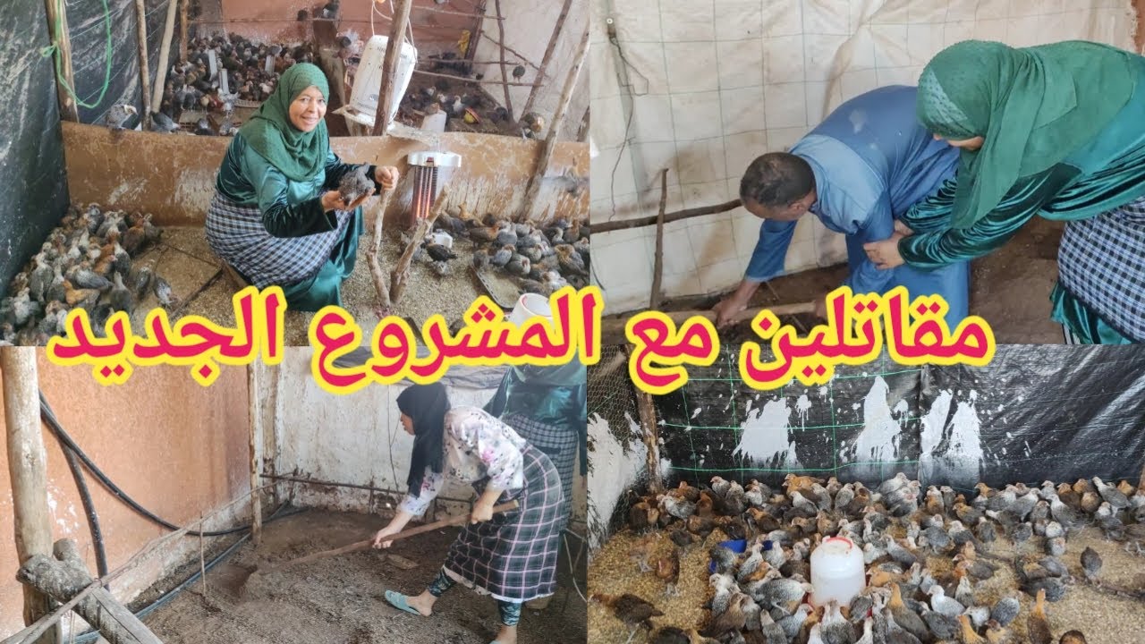 مي هموشة وبا محمد واقفن على المشروع💪 وانا درت لي قديت عليه👌