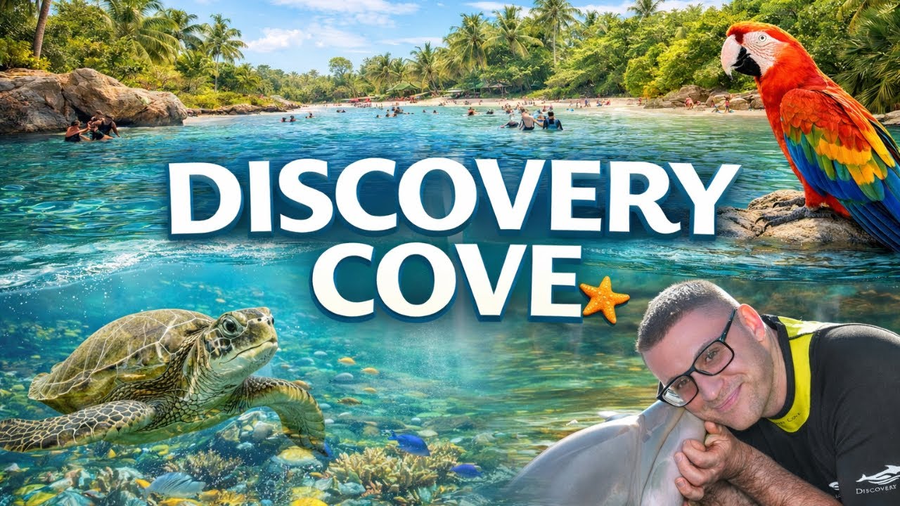 Discovery Cove Is Beautiful!